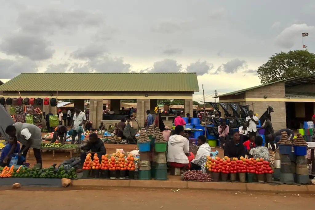 Arribada a Malawi i camí cap a Benga